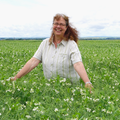 Prof. Dr. Annette Deubel