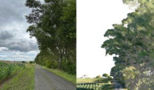Flurgehölz in der Modellgemeinde Allstedt, links: Photo, rechts: LiDAR Punktewolke überlagert mit RGB-Daten