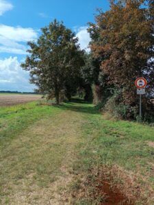 Randständiges Agroforstsystem in der Modellgemeinde Allstedt 