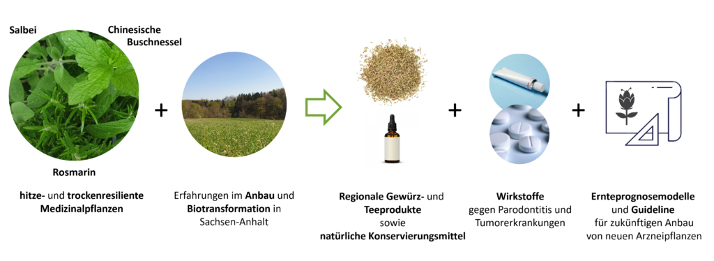 DiP-NA-WIR Wertschoepfungskette