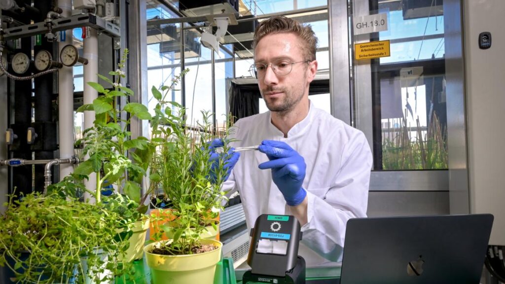 Dr. Thomas Schmutzer im Labor