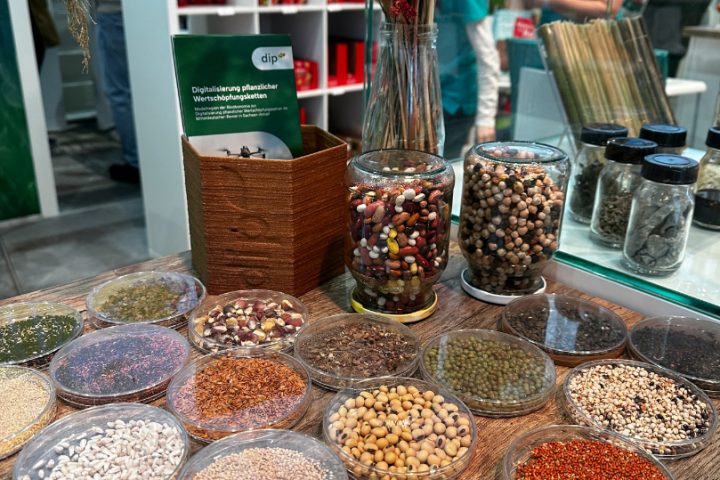 Exponate DiP-SuSaKlim