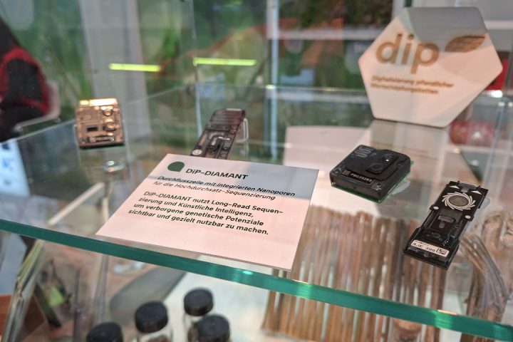 Grüne Woche 2026: DiP-Vitrine Exponate DiP-DIAMANT