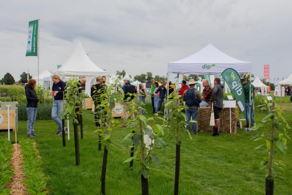 Messestand von DiP Sachsen-Anhalt bei den DLG-Feldtagen mit Pagode, Ausstellungsmaterialien, Veruschparzellen und Gesprächen mit Besuchenden.