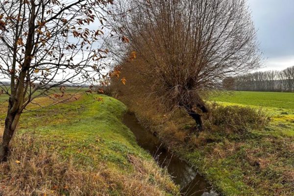 Landschaft bei Allstedt