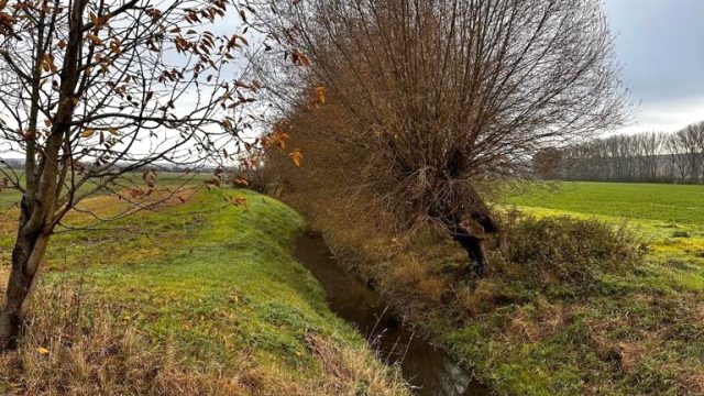 Landschaft bei Allstedt
