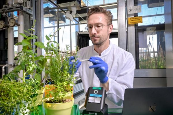 Dr. Thomas Schmutzer im Labor
